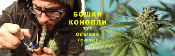 ALPHA PVP Белокуриха