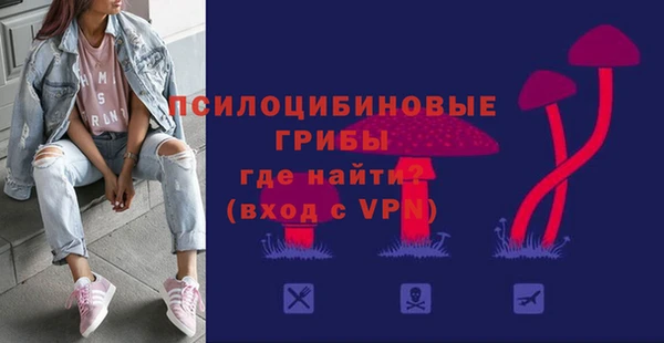 ALPHA PVP Белокуриха
