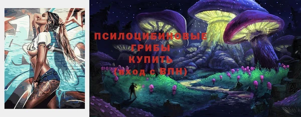 ALPHA PVP Белокуриха