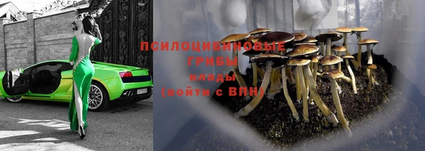 ALPHA PVP Белокуриха